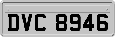 DVC8946