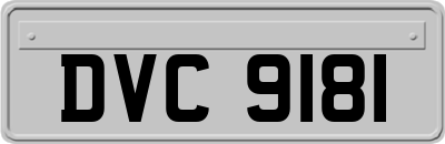 DVC9181