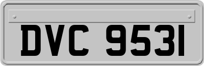 DVC9531
