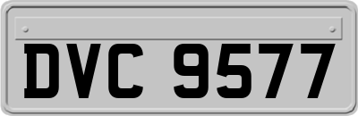 DVC9577