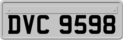 DVC9598