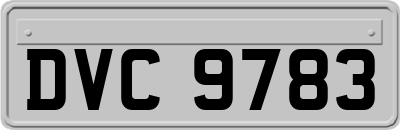 DVC9783