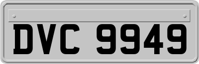 DVC9949