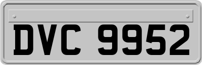 DVC9952