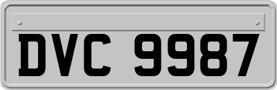 DVC9987