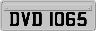 DVD1065