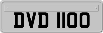 DVD1100