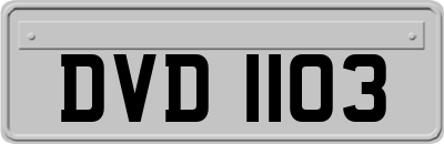 DVD1103