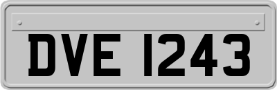 DVE1243