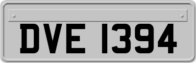 DVE1394