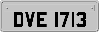 DVE1713