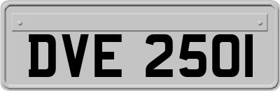 DVE2501