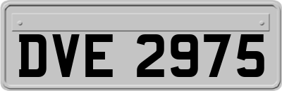 DVE2975