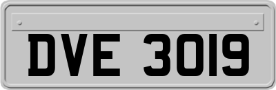DVE3019