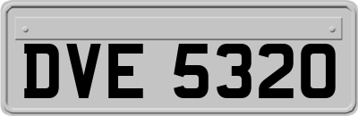 DVE5320