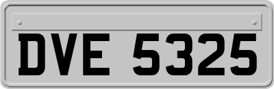 DVE5325