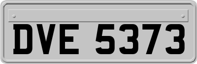 DVE5373
