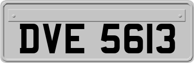 DVE5613