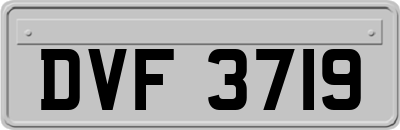 DVF3719