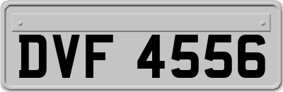 DVF4556