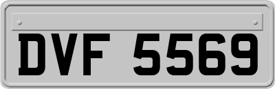DVF5569