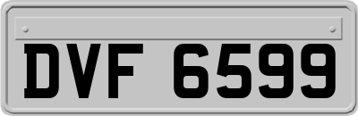 DVF6599