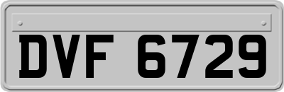 DVF6729