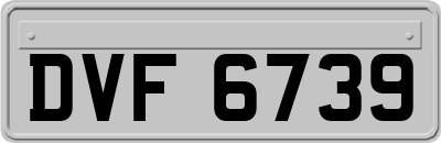 DVF6739