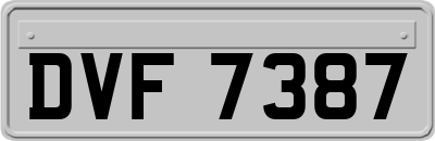 DVF7387
