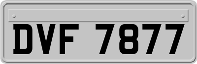 DVF7877