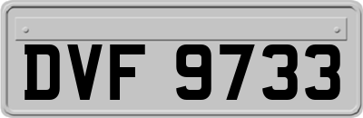 DVF9733