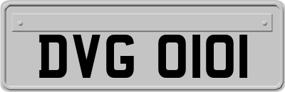 DVG0101