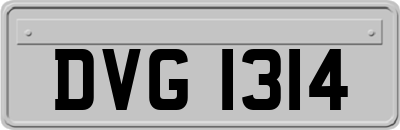 DVG1314