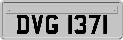 DVG1371