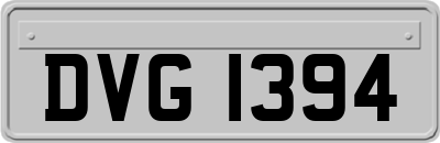 DVG1394