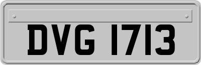 DVG1713