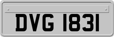 DVG1831