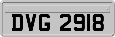 DVG2918