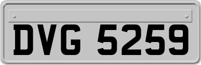 DVG5259
