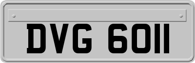 DVG6011