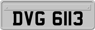 DVG6113