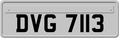 DVG7113
