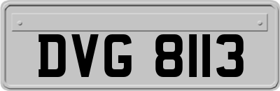 DVG8113