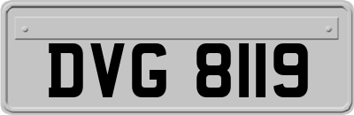 DVG8119