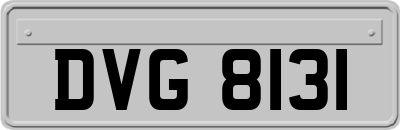 DVG8131