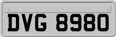 DVG8980