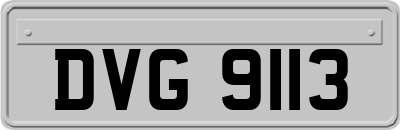 DVG9113