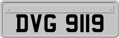 DVG9119