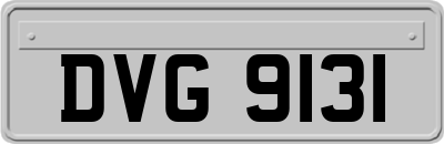 DVG9131
