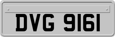 DVG9161